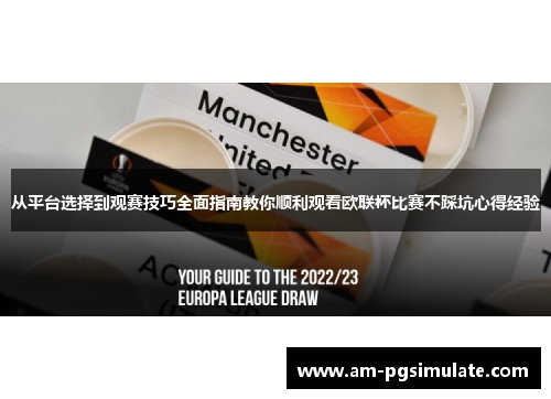 从平台选择到观赛技巧全面指南教你顺利观看欧联杯比赛不踩坑心得经验