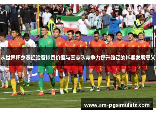 从世界杯参赛经验看球员价值与国家队竞争力提升路径的长期发展意义