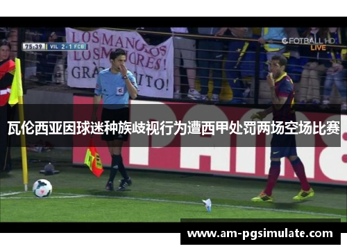 瓦伦西亚因球迷种族歧视行为遭西甲处罚两场空场比赛